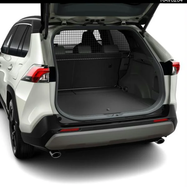 Hondenrek Toyota RAV4 Hybrid 2019 >