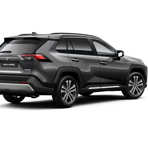 Ornamentenset chroom zijkant Toyota RAV4 2019 >